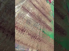 Титановая сплав Очки рамы ПВД покрытие машина