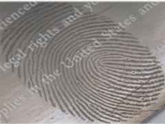 Система металлизации высокого вакуума, тепловое испарение покрытия для визуализации отпечатков пальцев